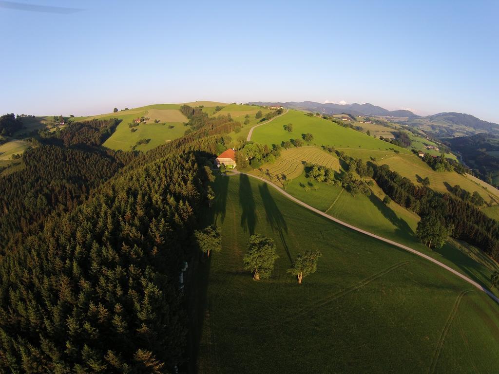 Haaghof Ertl Lägenhet Exteriör bild